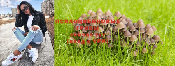 ГАЛЛЮЦИНОГЕННЫЕ ГРИБЫ Армянск