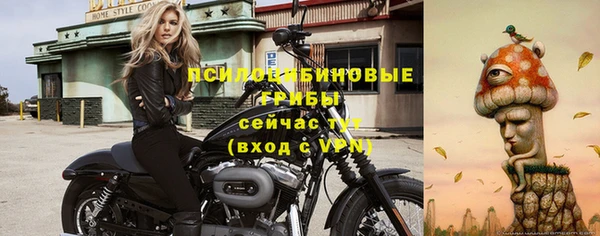 apvp Арсеньев
