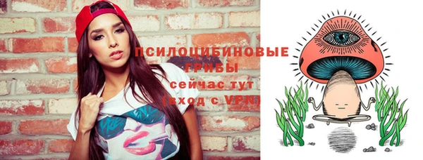 ГАЛЛЮЦИНОГЕННЫЕ ГРИБЫ Армянск