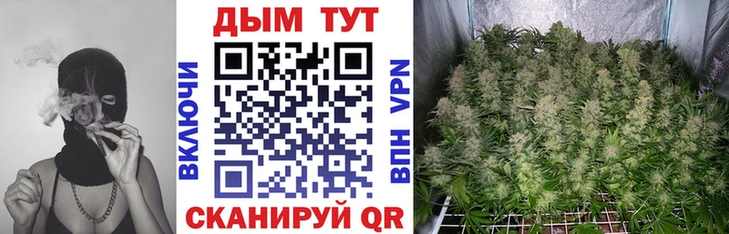 blacksprut зеркало  Кологрив  Конопля Amnesia  продажа наркотиков 